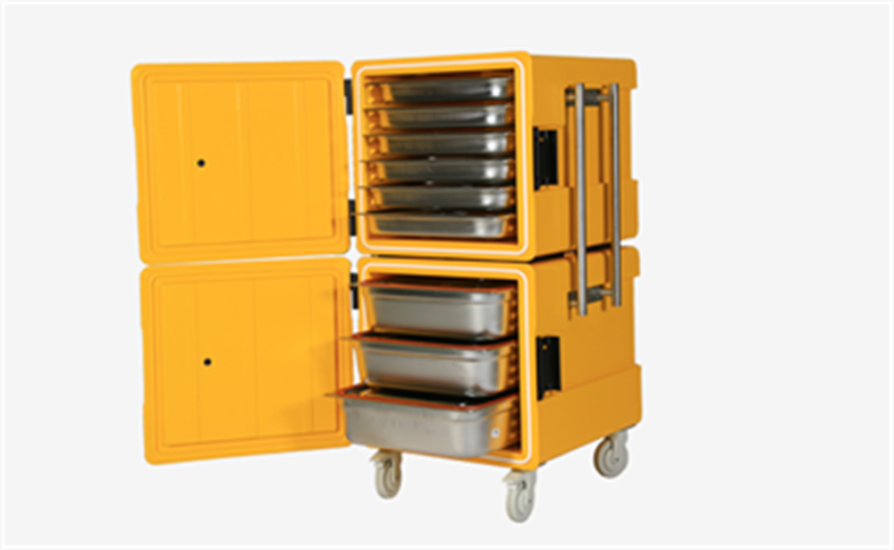 Avatherm 600x2 Double Thermobox, Sarı (100227)